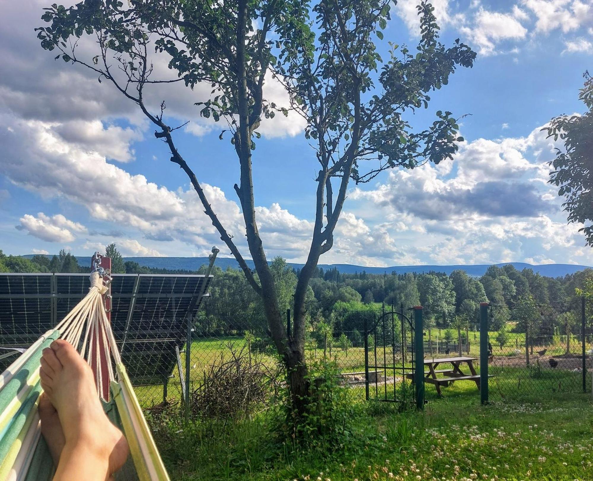 Maja Pokoje Z Widokiem Kameralna Agroturystyka Na Pogorzu Izerskim Z Sauna I Jacuzzi (Adults Only) Mirsk Eksteriør bilde